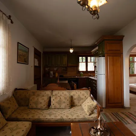 Alpehytte Hyas Residences